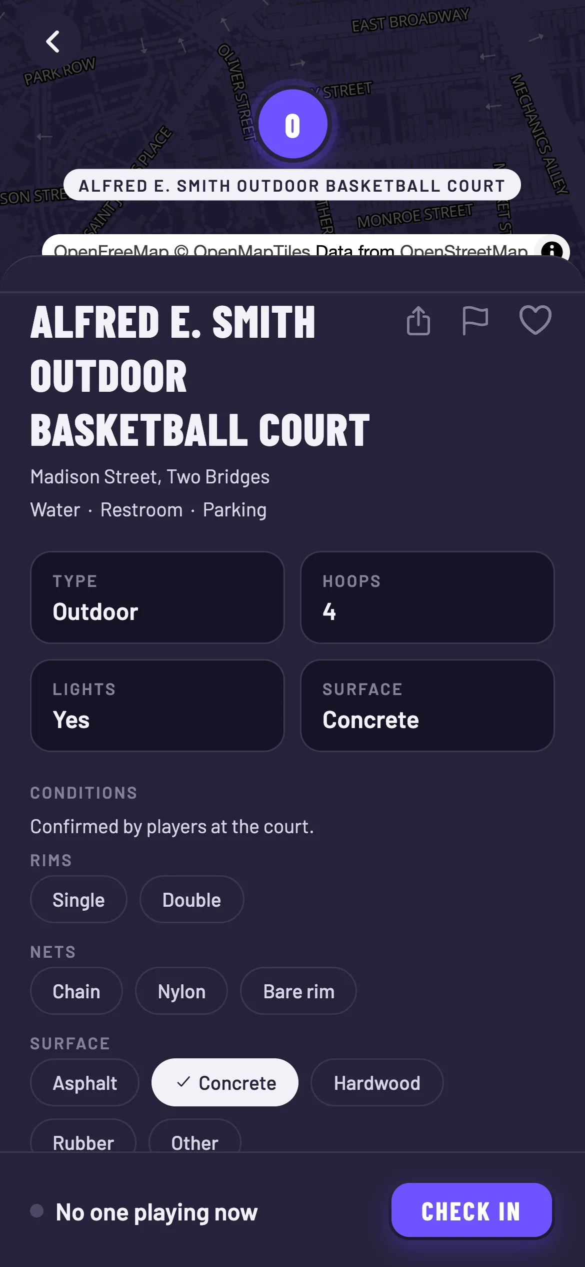 A court detail screen: hoops, lights, surface and live headcount